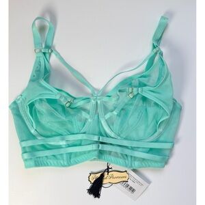 Pleasure & Promises Sheer Longline Bra in Mint 34DDD